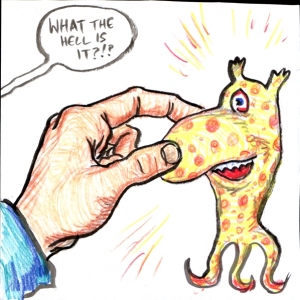 262-web
