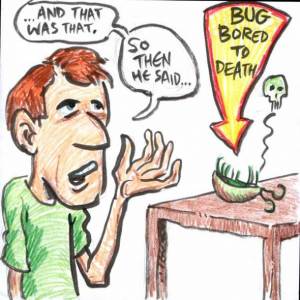 323-web