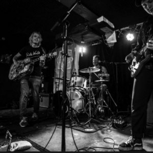 Jeffrey Lewis & Los Bolts, live in Bristol UK, June 2019, by Duncan Cruickshank